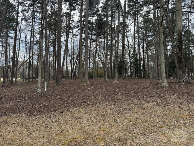 Property image 5 of 104 Old North State Lane in Uwharrie Point, New London, NC 28127