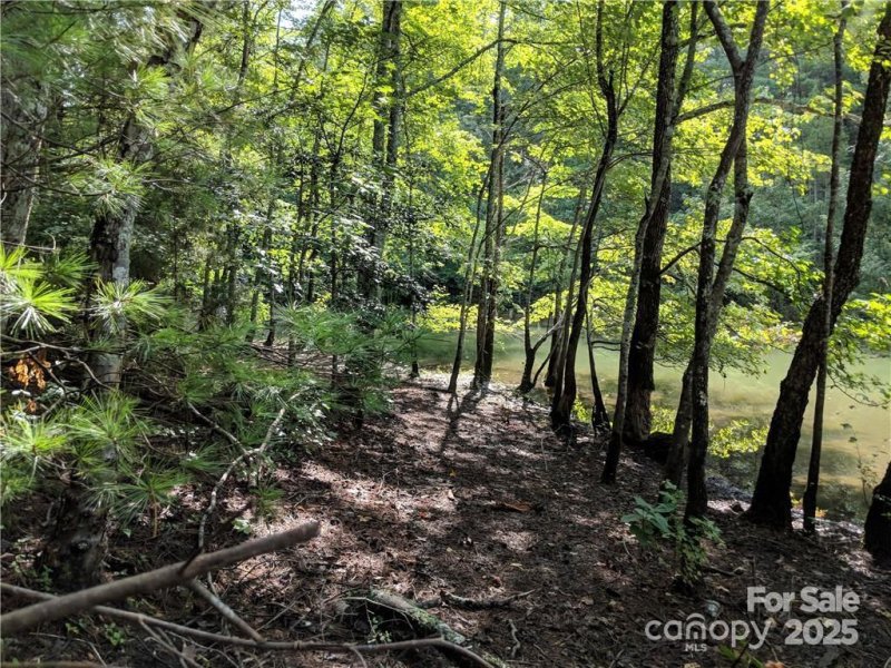 Property image 4 of 3100 E Moonlight Place in Waters Edge, Morganton, NC 28655