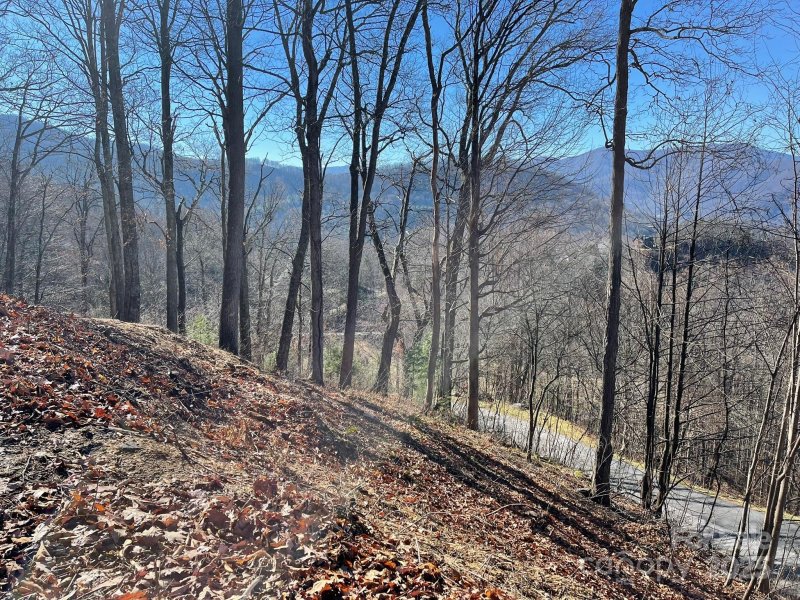 Property image 3 of 362 Equestrian Drive in Smoky Mountain Sanctuary, Waynesville, NC 28786