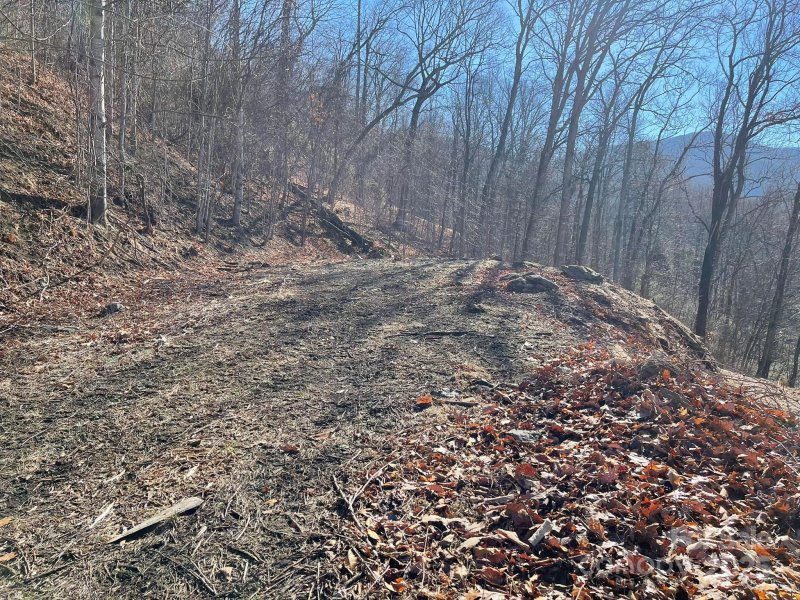 Property image 4 of 362 Equestrian Drive in Smoky Mountain Sanctuary, Waynesville, NC 28786