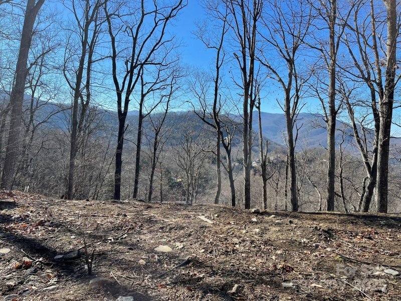 Property image 5 of 362 Equestrian Drive in Smoky Mountain Sanctuary, Waynesville, NC 28786