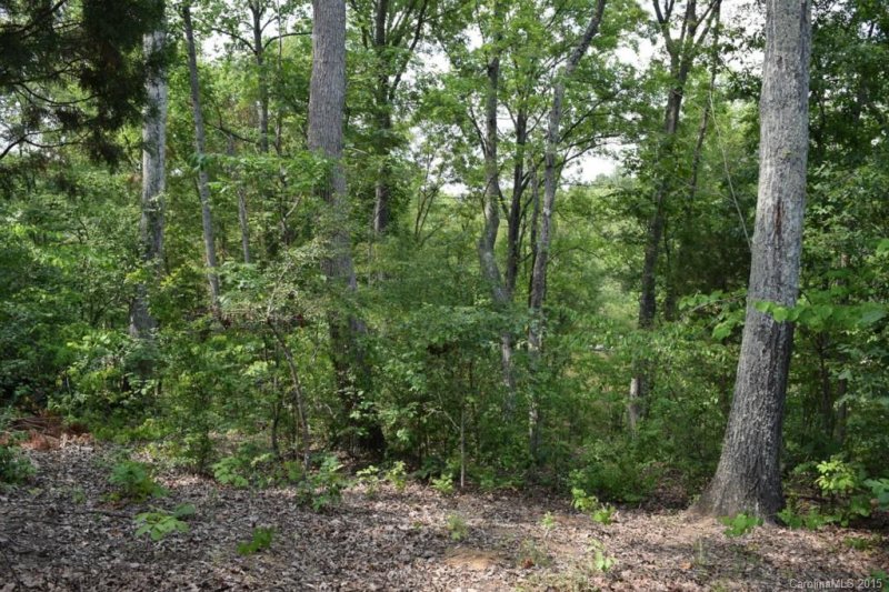 Property image 5 at 4065 River Oaks Road, Lake Wylie, SC 29710