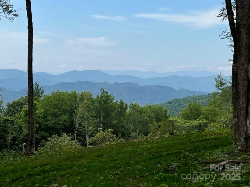 Property image 2 of Tbd East Garden Trail in Sprout, Hendersonville, NC 28792