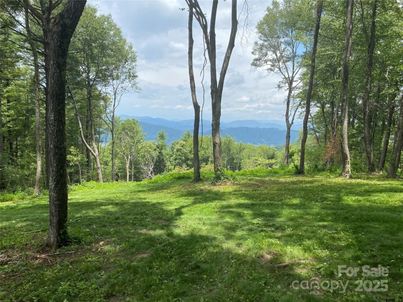 Property image 4 of Tbd East Garden Trail in Sprout, Hendersonville, NC 28792