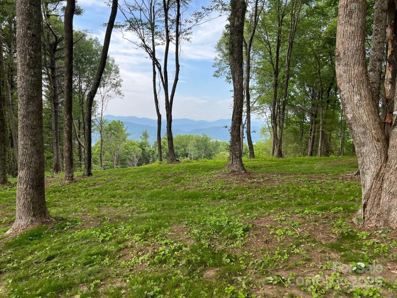 Property image 5 of Tbd East Garden Trail in Sprout, Hendersonville, NC 28792