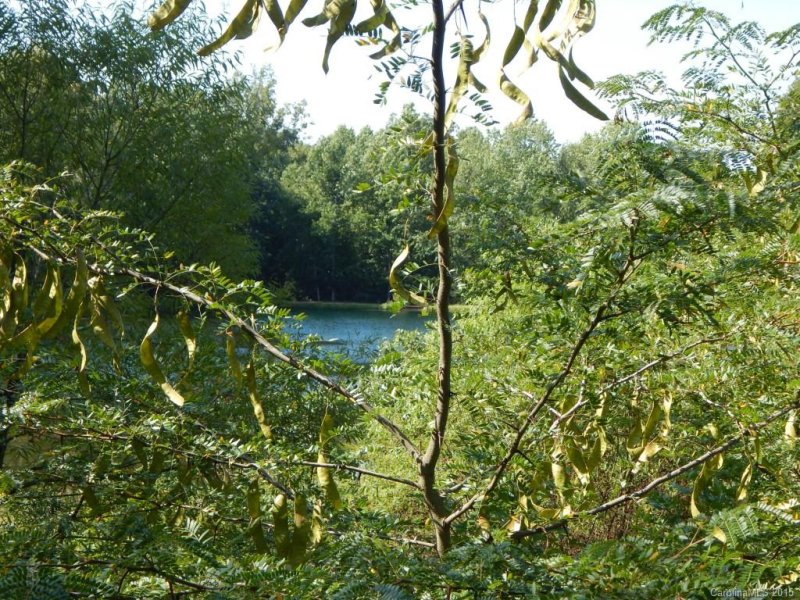 Property image 2 at 0 Phaniel Church Road, Rockwell, NC 28138