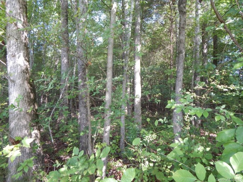 Property image 3 at 320 Barnwood Drive, Rockwell, NC 28138