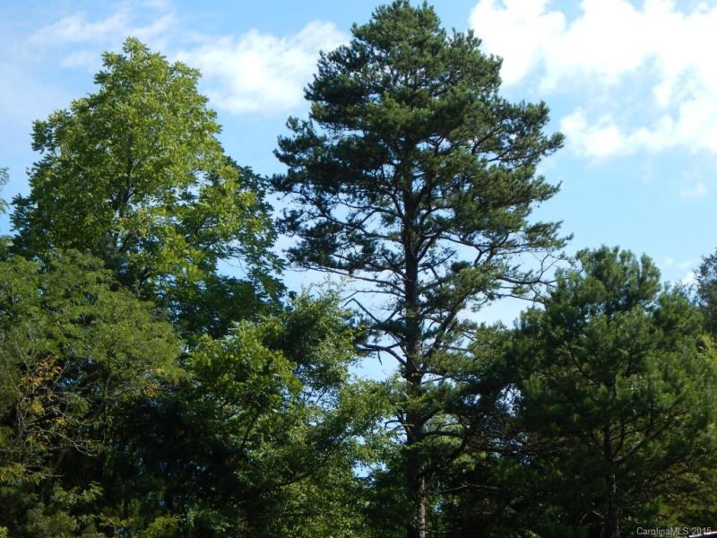 Property image 4 at 1135 Churchfield Lane, Rockwell, NC 28138