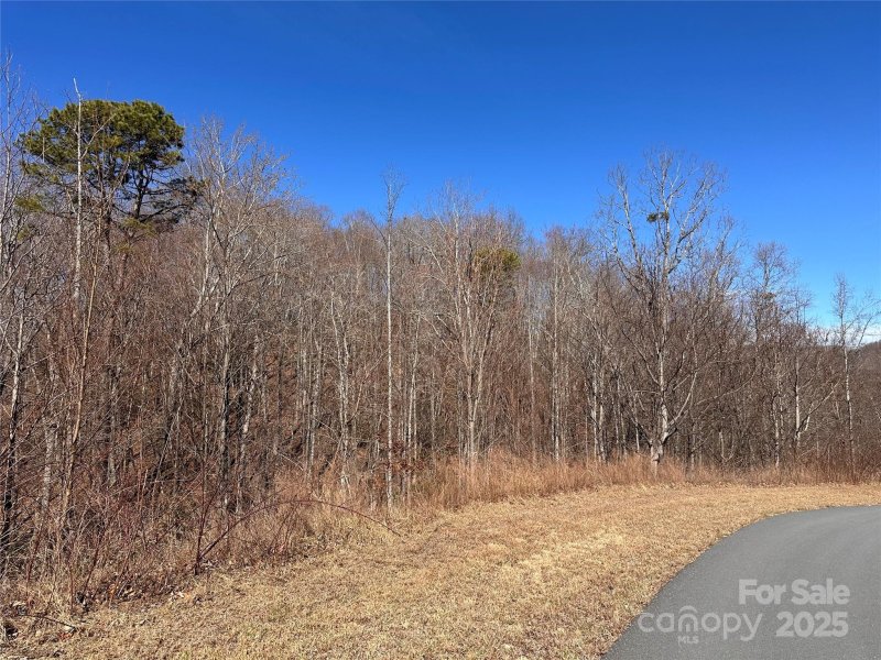 Property image 4 of 0 Winding Ridge in Grey Rock at Lake Lure, Lake Lure, NC 28746