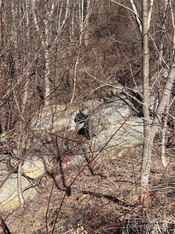Property image 5 of 0 Winding Ridge in Grey Rock at Lake Lure, Lake Lure, NC 28746