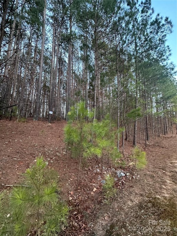 Property image 3 of 193 Windingwood Drive in Ridgewood, Statesville, NC 28677