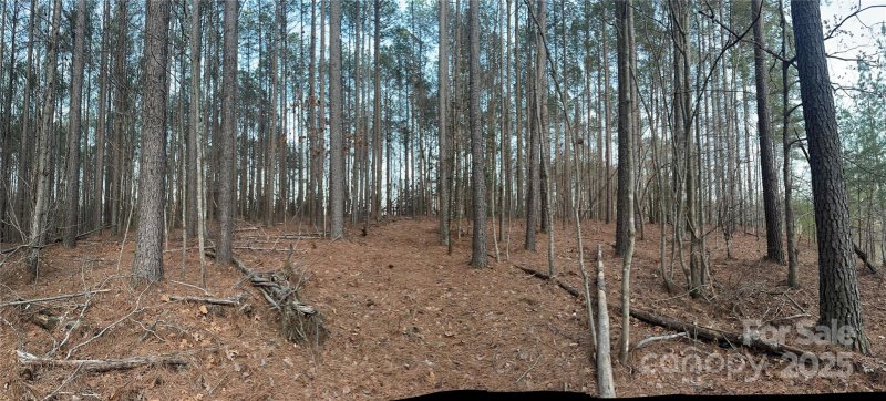 Property image 4 of 193 Windingwood Drive in Ridgewood, Statesville, NC 28677