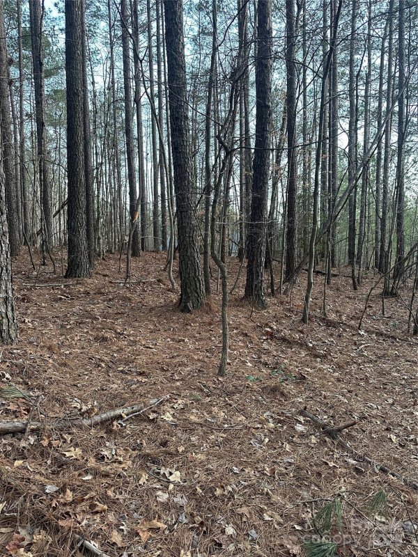 Property image 5 of 193 Windingwood Drive in Ridgewood, Statesville, NC 28677