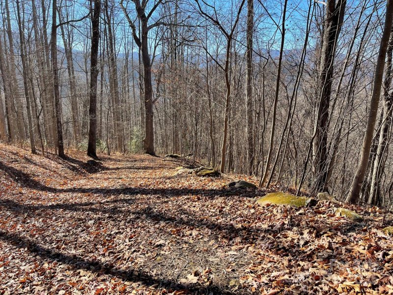 Property image 3 of 00 Weatherwatch Lane in Smoky Mountain Sanctuary, Waynesville, NC 28786