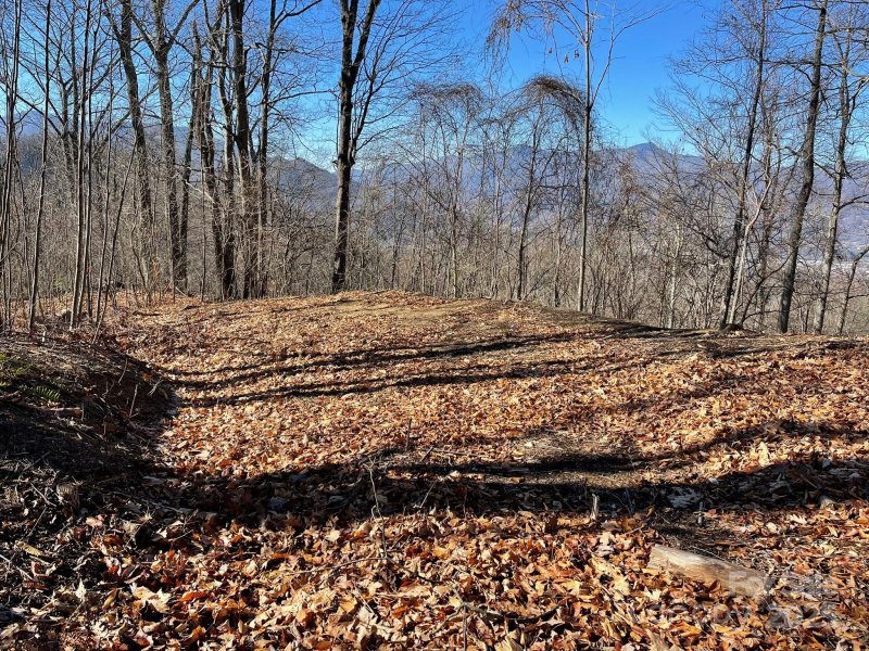 Property image 5 of 00 Weatherwatch Lane in Smoky Mountain Sanctuary, Waynesville, NC 28786
