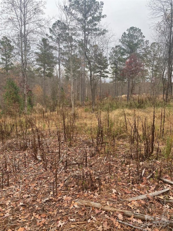 Property image 3 at 2133 Columbia Ridge, Connelly Springs, NC 28612