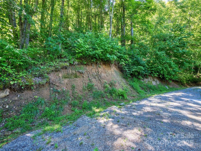 Property image 2 of 00 Yellow Locust Drive in Spring Valley, Waynesville, NC 28786