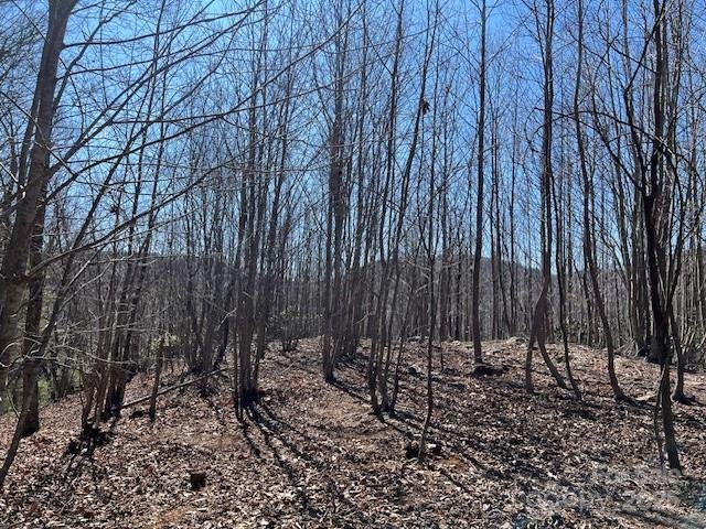 Property image 2 of 803254 Ivy Road in High Vista, Mills River, NC 28759