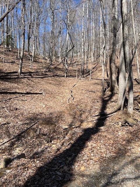 Property image 3 of 803254 Ivy Road in High Vista, Mills River, NC 28759