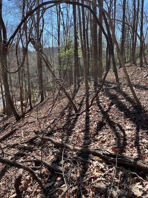 Property image 4 of 803254 Ivy Road in High Vista, Mills River, NC 28759