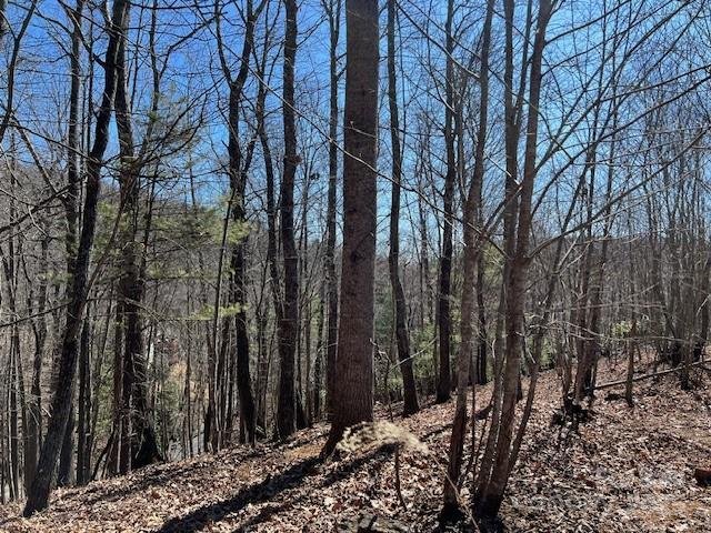 Property image 5 of 803254 Ivy Road in High Vista, Mills River, NC 28759