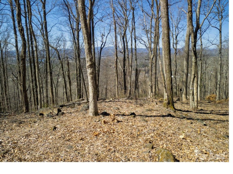 Property image 2 at 99999 Old Forest Drive, Asheville, NC 28803