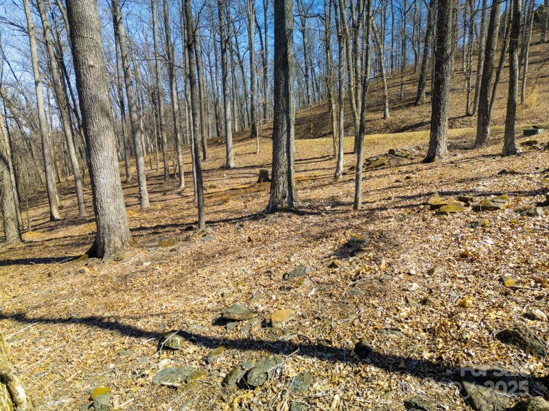 Property image 3 at 99999 Old Forest Drive, Asheville, NC 28803