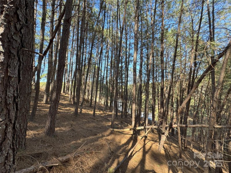 Property image 3 of 5582 Bridgewater Drive in Anchors Landing, Granite Falls, NC 28638