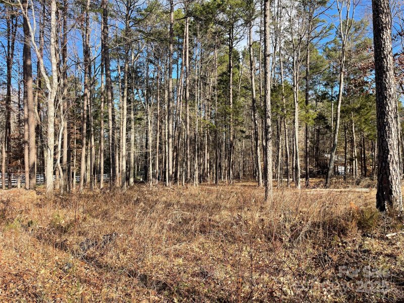 Property image 3 at Lot 1 Autumn Mist Lane, Huntersville, NC 28078