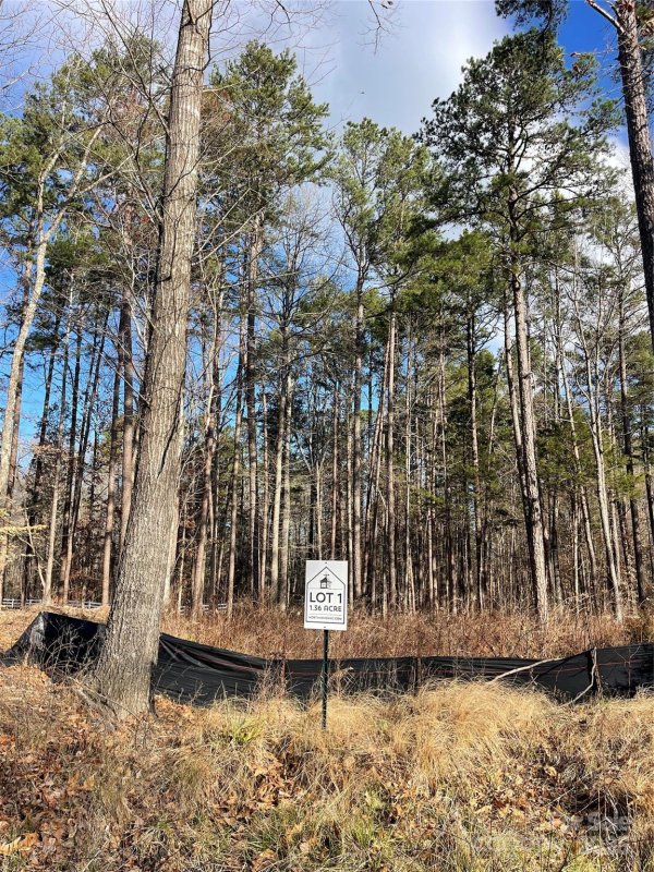 Property image 4 at Lot 1 Autumn Mist Lane, Huntersville, NC 28078