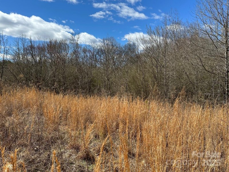 Property image 4 at Vac Old Farm Road, Oakboro, NC 28129