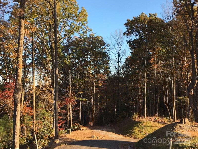 Property image 4 of 83 Curtain Bluff in The Boulders, Hendersonville, NC 28791