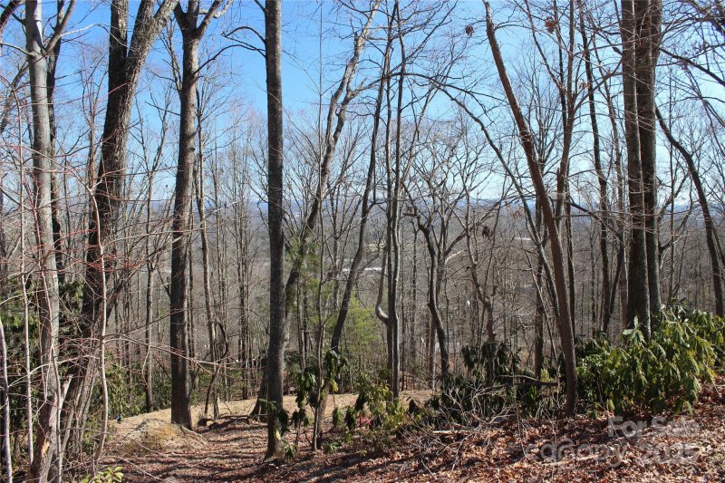 Property image 5 of 83 Curtain Bluff in The Boulders, Hendersonville, NC 28791