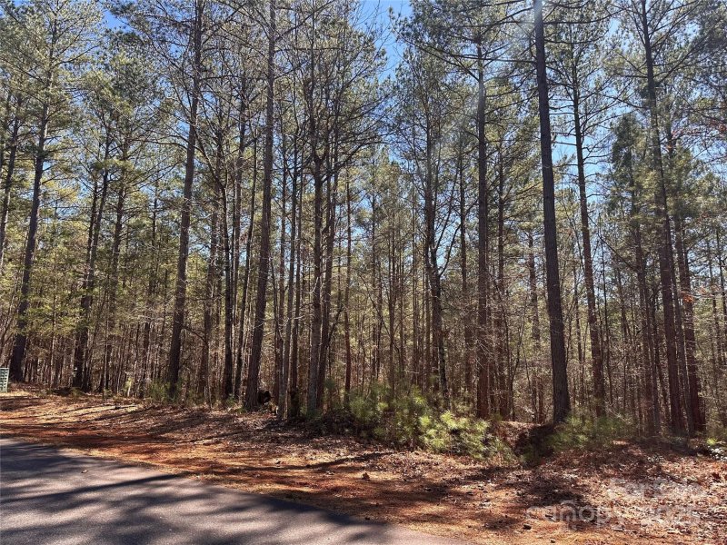 Property image 5 at 2127 Anchor Lane, Connelly Springs, NC 28612