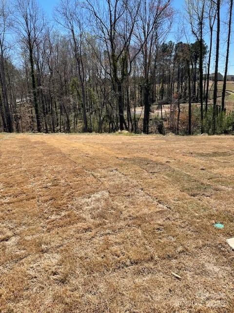 Property image 5 at 107 Windstone Common Lane, Mooresville, NC 28117