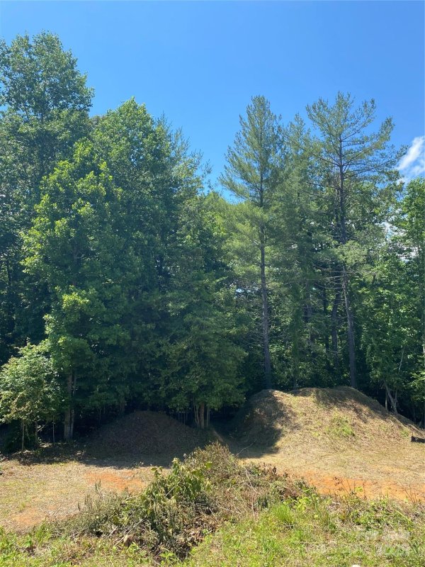 Property image 3 of 180 Williams Meadow Loop in Dunroy On Rutledge, Hendersonville, NC 28739