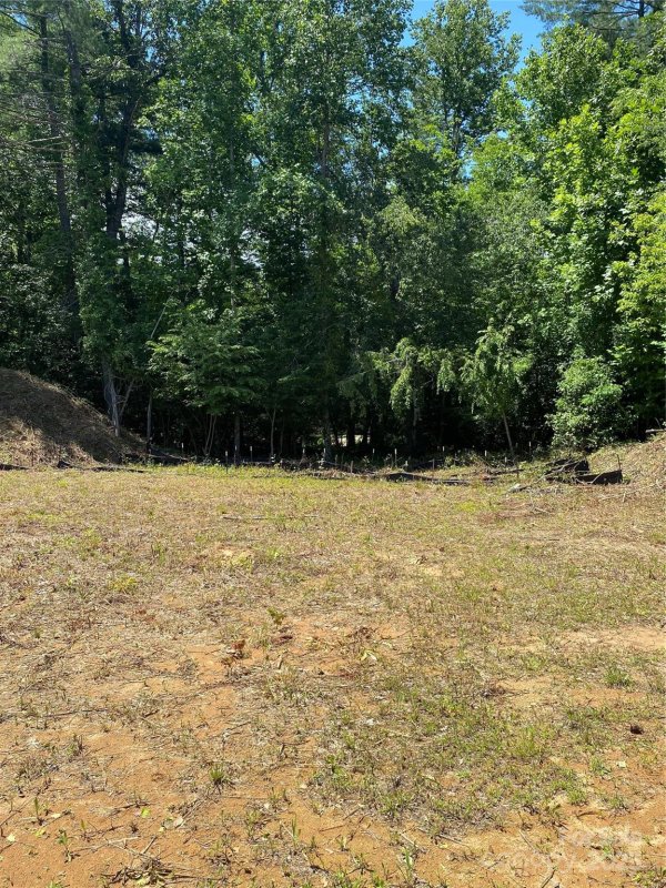 Property image 5 of 180 Williams Meadow Loop in Dunroy On Rutledge, Hendersonville, NC 28739