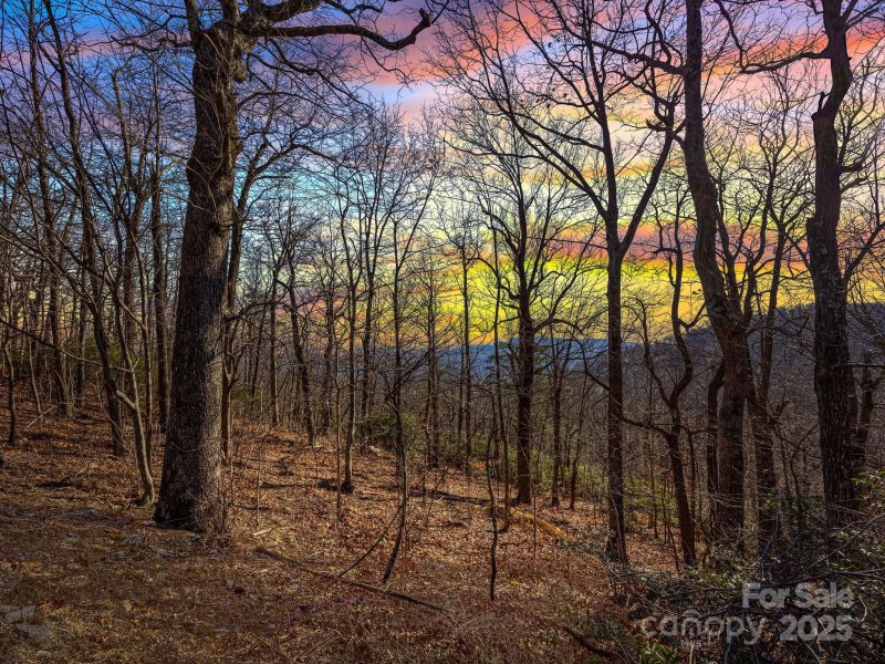 00 Morning Ride Drive