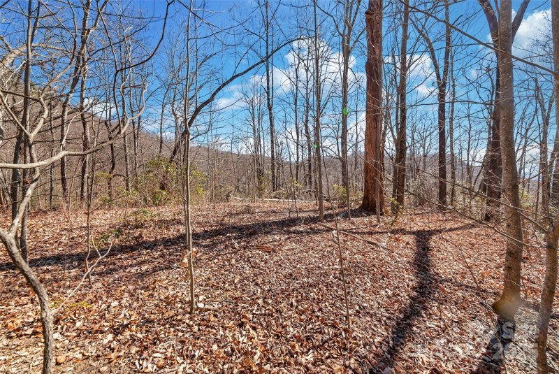Property image 3 of 965 Wolf Pen Road in Gateway Mountain, Old Fort, NC 28762