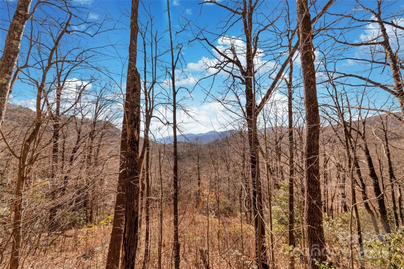 Property image 5 of 965 Wolf Pen Road in Gateway Mountain, Old Fort, NC 28762