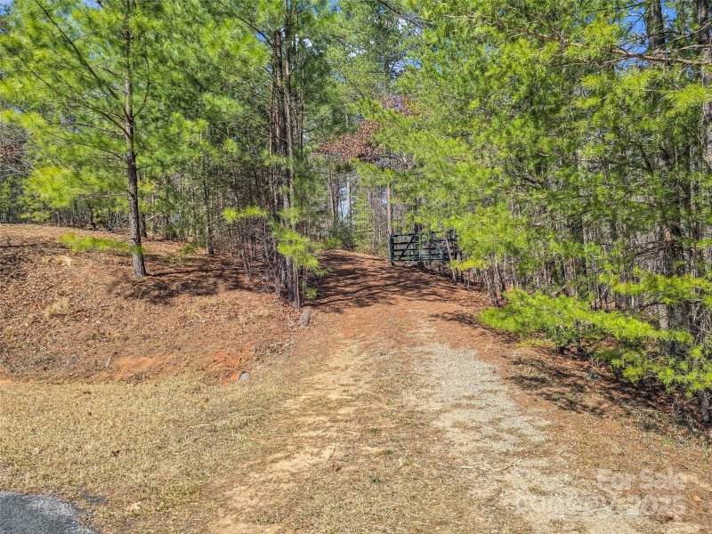 Property image 3 at 28 River Park Lane, Mill Spring, NC 28756