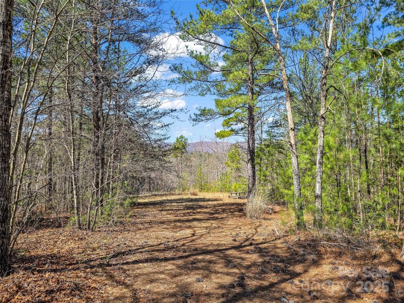 Property image 5 at 28 River Park Lane, Mill Spring, NC 28756