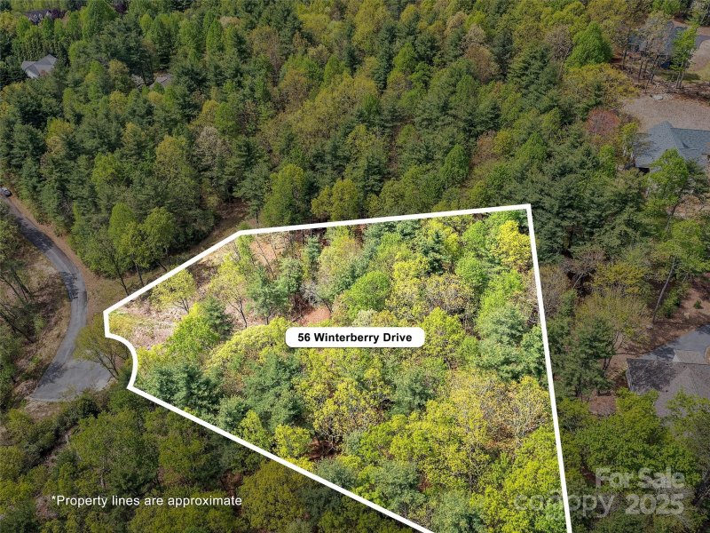 Property image 4 of Lot 56 Winterberry Drive in The Wilson Farm, Hendersonville, NC 28739