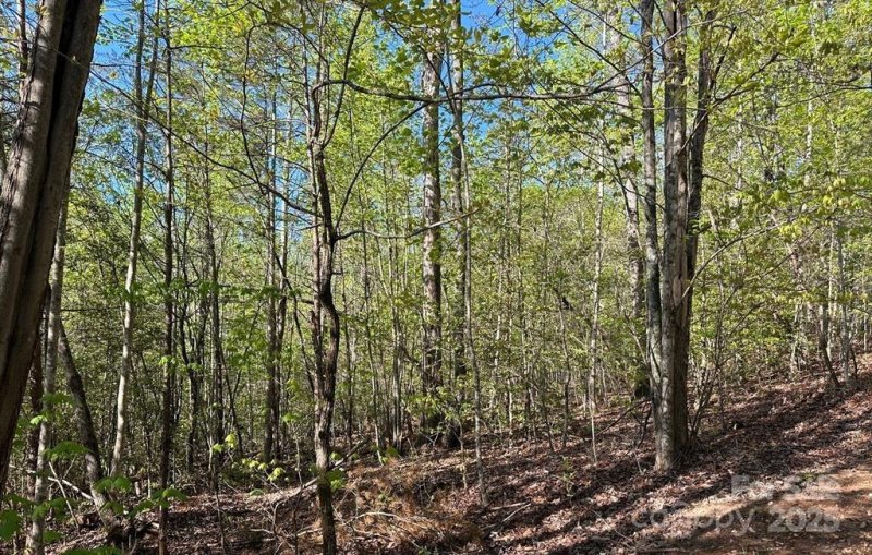 V L 13 Deer Crossing Drive