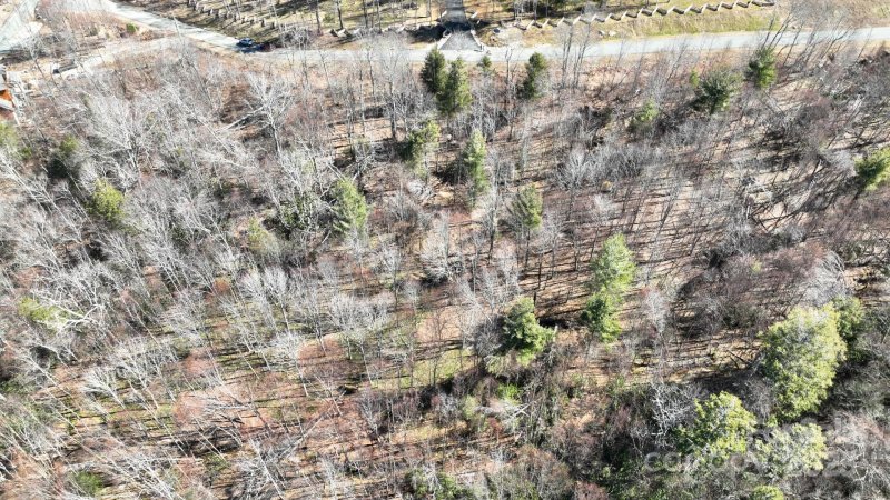 Property image 4 of 68 Eagle Pass None in The Lodges at Eagles Nest, Banner Elk, NC 28604