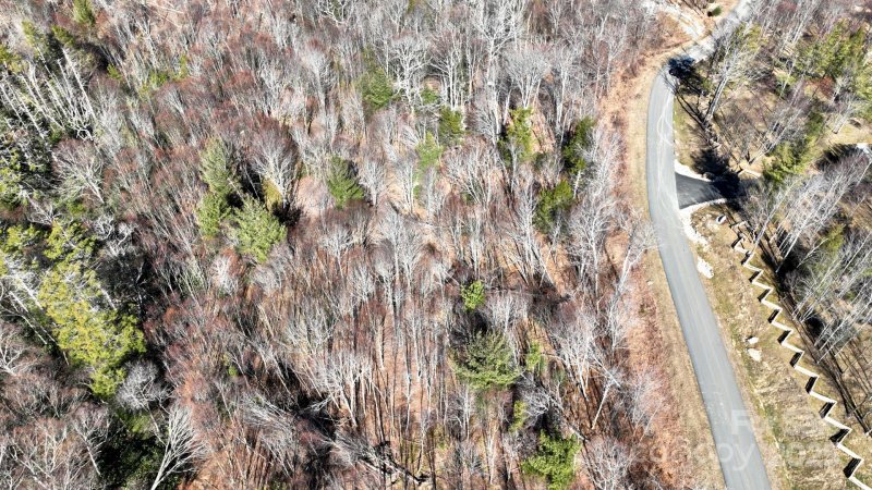 Property image 5 of 68 Eagle Pass None in The Lodges at Eagles Nest, Banner Elk, NC 28604