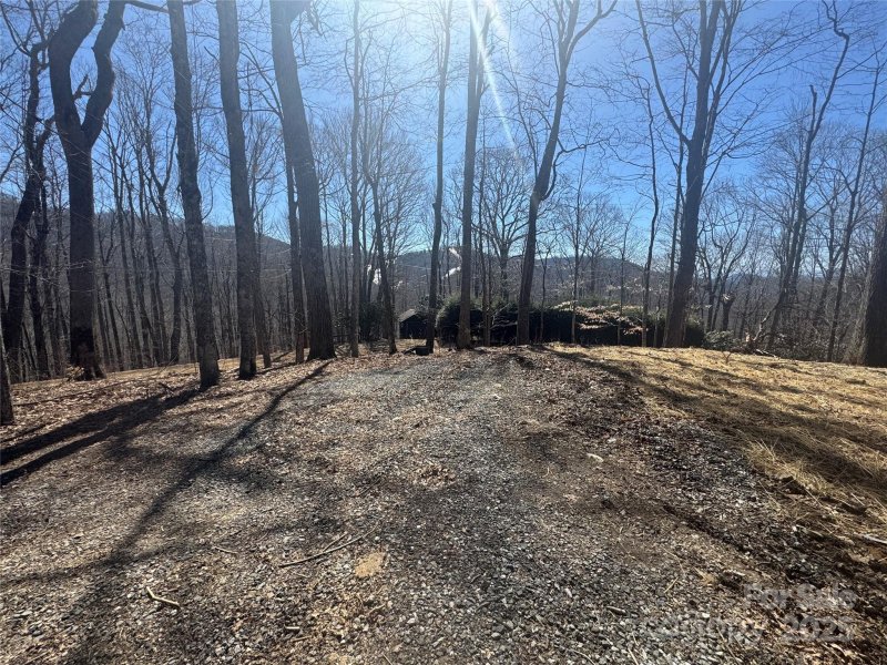 Property image 3 at 395 Sugar Tree Lane, Mars Hill, NC 28754