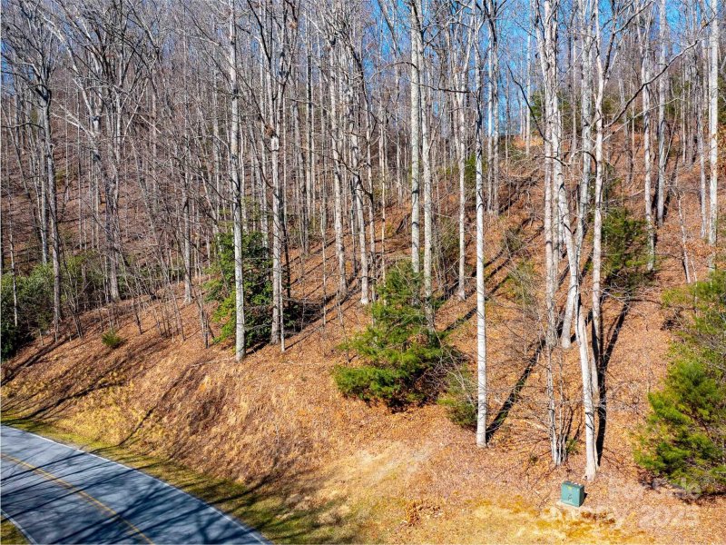 Property image 2 of 00 Chattooga Run in Champion Hills, Hendersonville, NC 28739