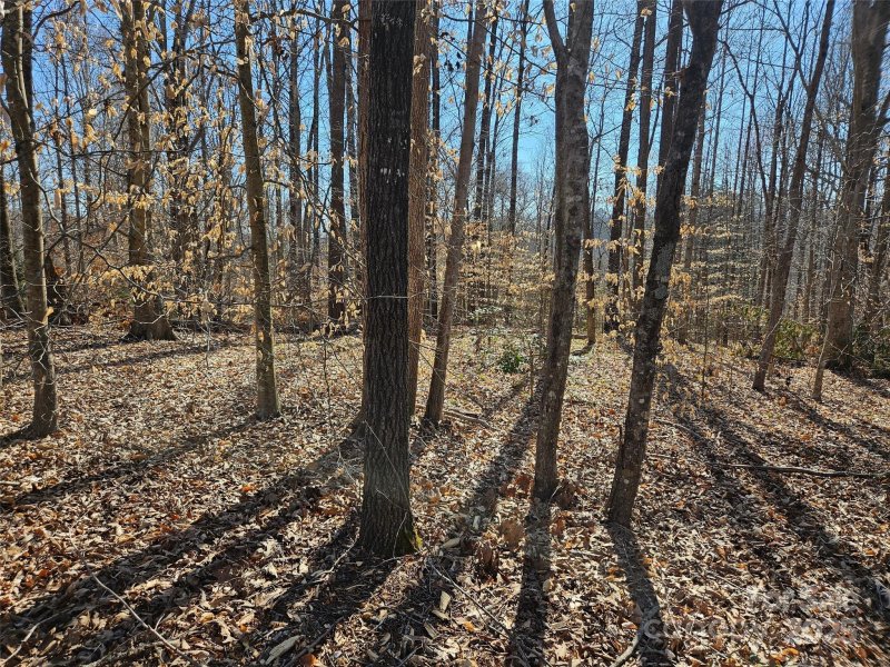 Rutherford Towne, Rutherfordton Community