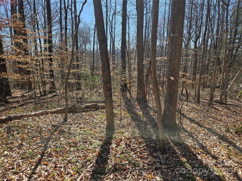 Property image 4 of 0 General Griffith Circle in Rutherford Towne, Rutherfordton, NC 28139